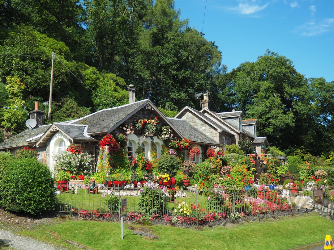 The Enchanting Beauty of Flowery Gardens
